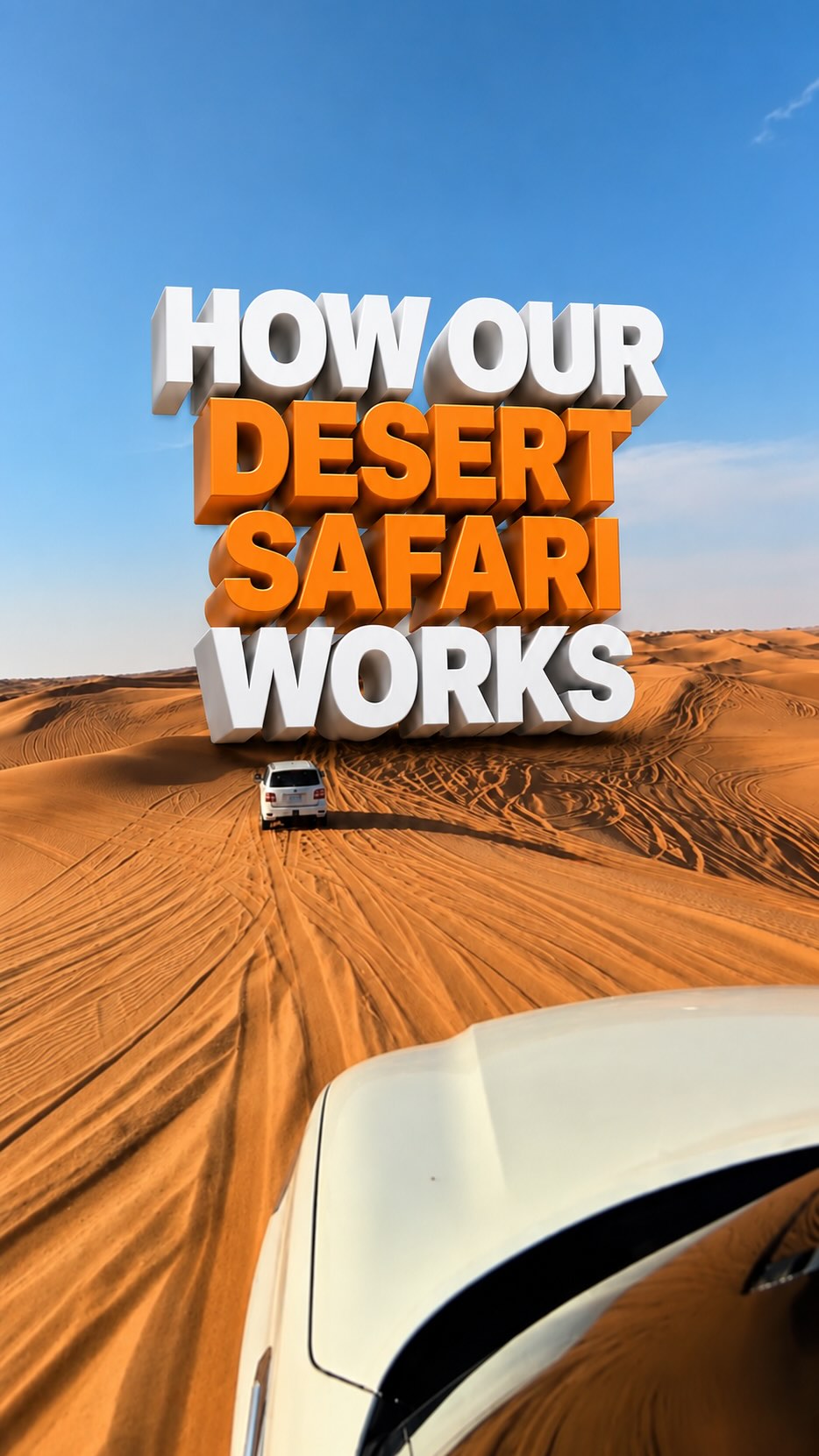 What Happens on a Safari