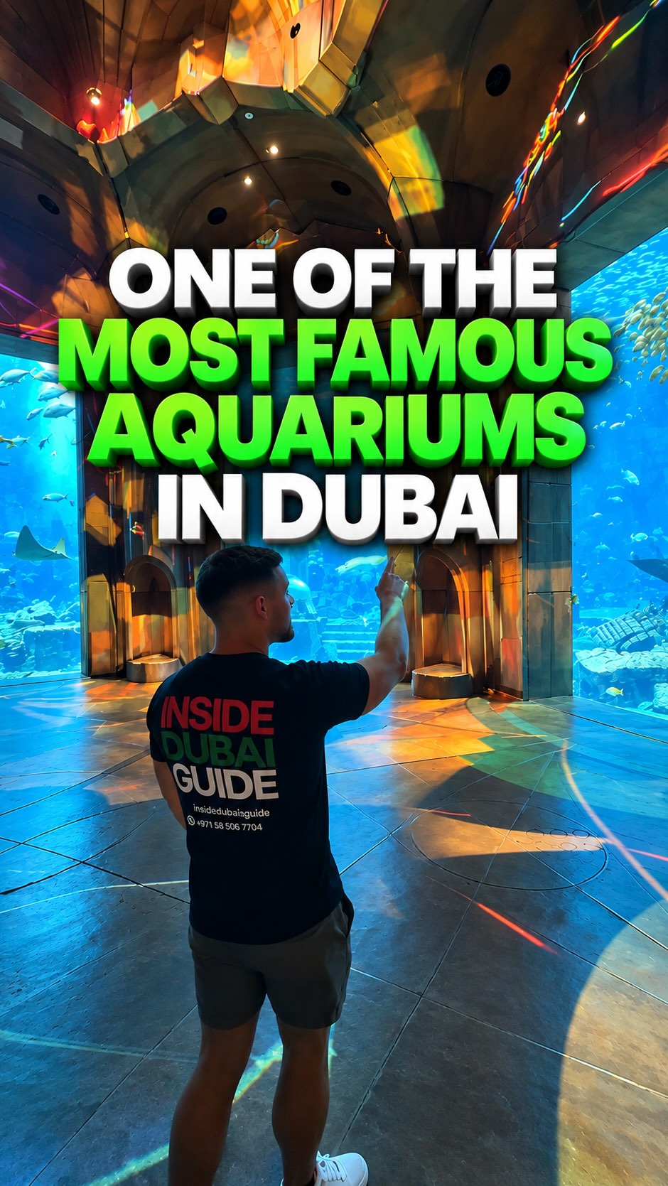 Lost World Aquarium