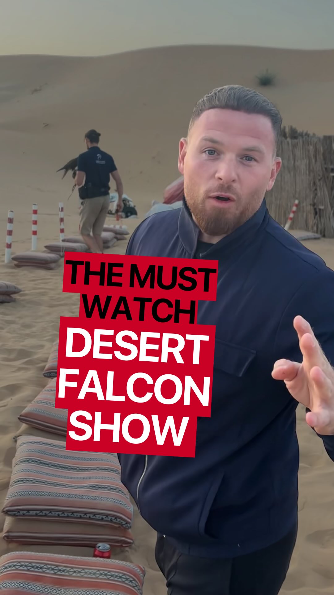 The Falcon Moment