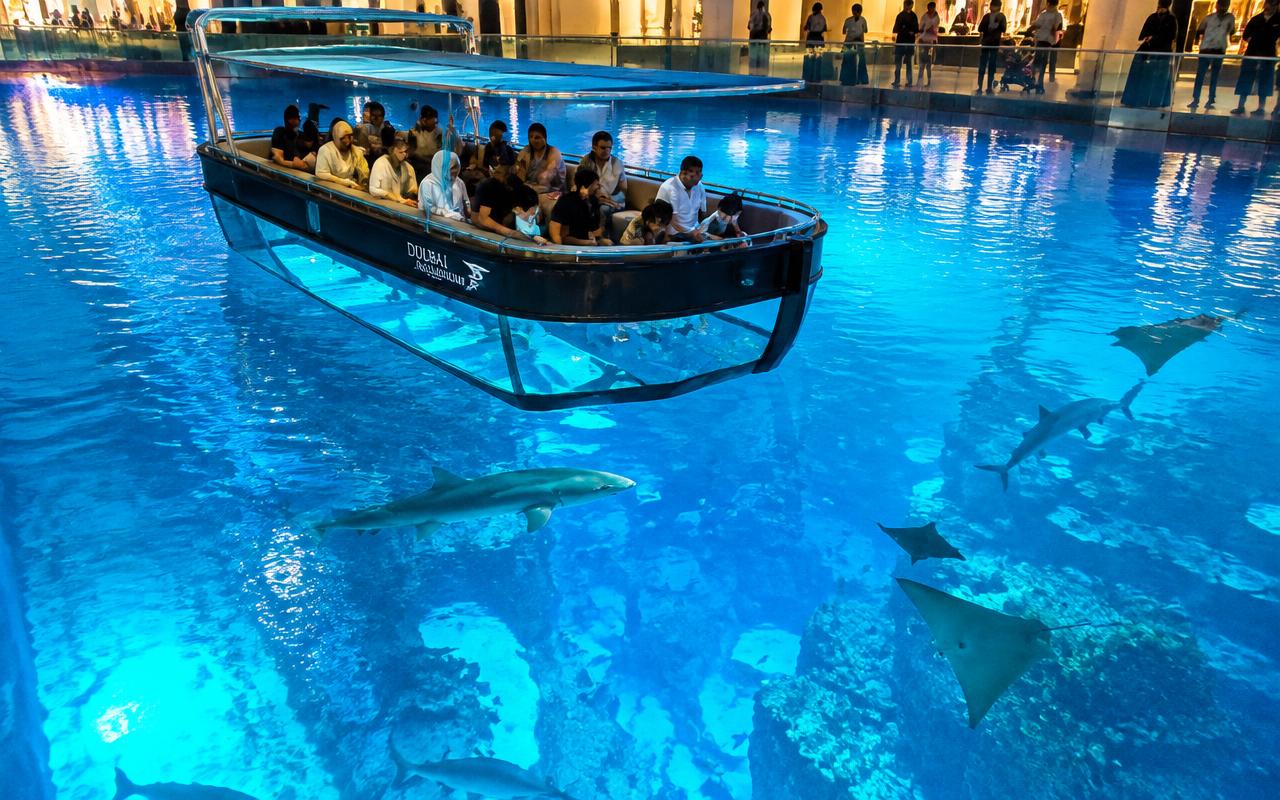 Dubai Aquarium & Underwater Zoo