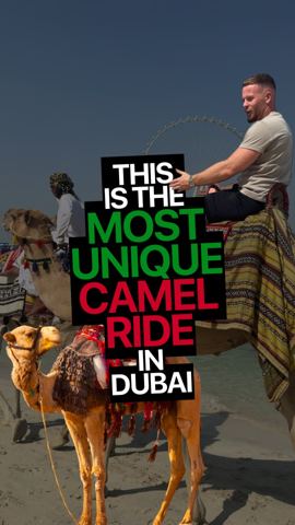 Not your typical camel ride