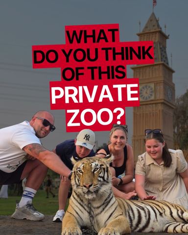 Weekend plans? How about a family day at the…